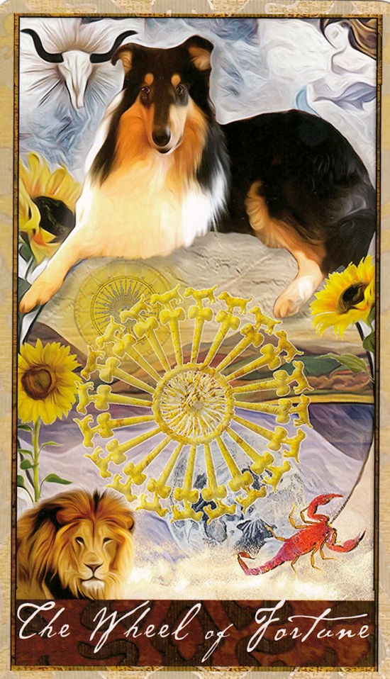 Wise Dog Tarot